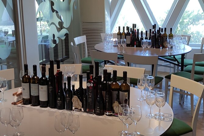 Private Wine Tour in 3 Wineries with 12 Wine Tastings and Tapas - What You Actually Get With the 12 Tastings