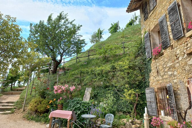 Prosecco Hills Day Trip from Venice & Treviso: 2 Wineries - Key highlights worth your time