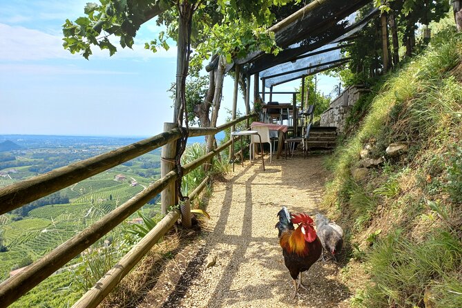 Prosecco Hills Day Trip from Venice & Treviso: 2 Wineries - UNESCO Prosecco Hills scenic drive: learn while you look