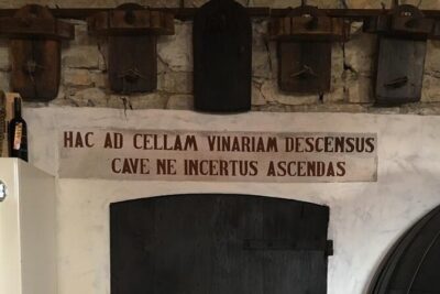 Prosecco Hills Day Trip from Venice & Treviso: 2 Wineries - Valdobbiadene first winery: cellar visit plus DOCG tasting with real pairings