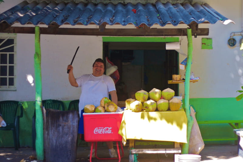 Puerto Vallarta 3-Hour Food Tour of Authentic Local Cuisine - Key highlights you’ll feel fast