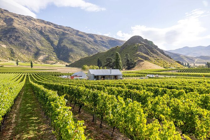 Queenstown Wine & Food Tour: Scenery, Tastings & Delicious Lunch! - Stop 2: Mt Rosa Wines hosted tasting session