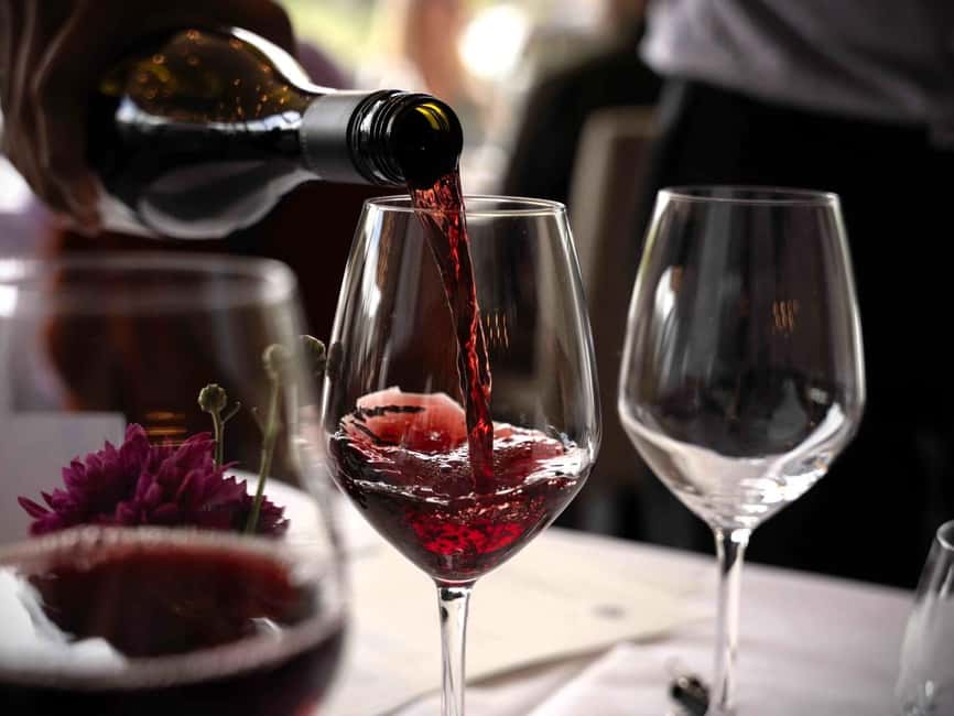 Queenstown: Wine & Food Tour, Scenic Tastings & Paired Lunch - Getting the most out of tastings (without turning it into a chore)