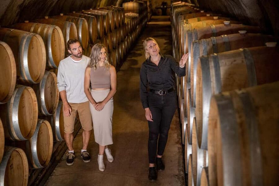 Queenstown: Wine & Food Tour, Scenic Tastings & Paired Lunch - Final stop in Gibbston Valley: the wine cave experience
