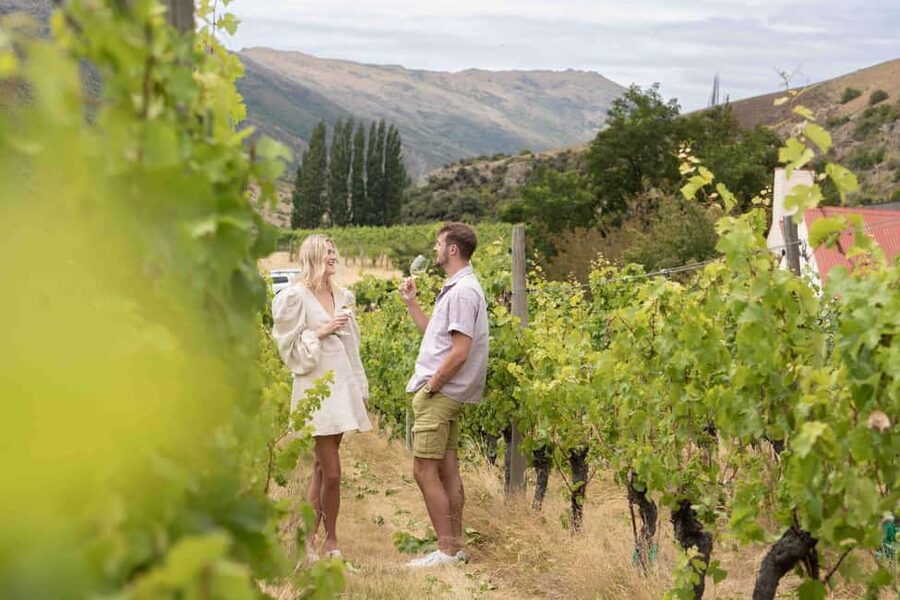 Queenstown: Wine & Food Tour, Scenic Tastings & Paired Lunch - Your guide is the secret ingredient