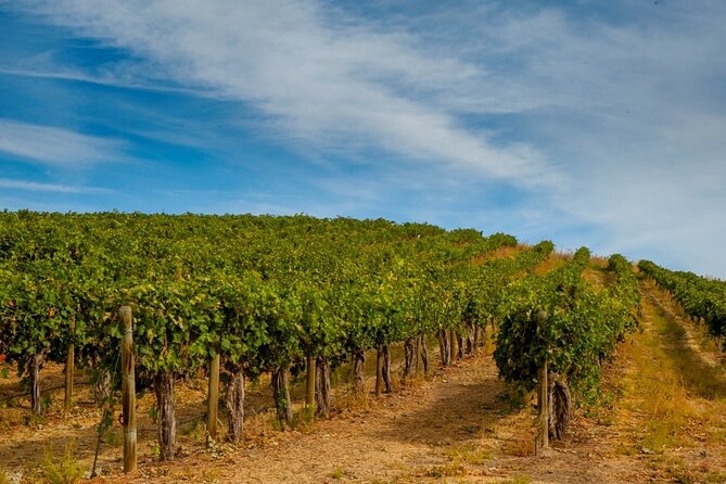Rhodes Wine & Food Tour: 10 Meal Course Lunch, Wine Tasting, Cooking Class - Cooking Lesson Outdoors and the 10-Course Rhodian Lunch