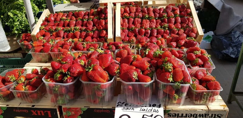 Riga: Central Market Latvian Food Tour - Alcohol and Drinks: Included, but You Still Stay in Control