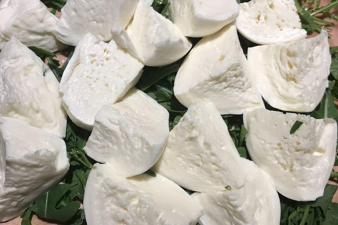 Roman Food Tour with Visit to the Trionfale Food Market - What You’ll Actually Eat and Drink on This Tour