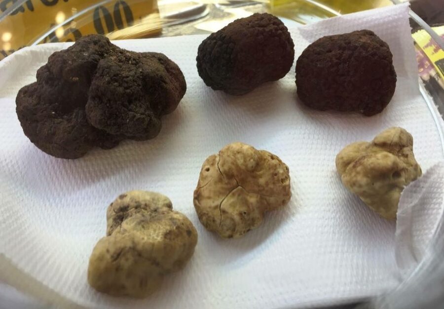 Rome: Award-Winning Roman Food Tours - Wine tastings that don’t feel like an afterthought