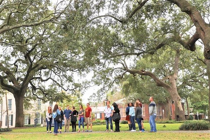 Savannah Southern Fried Expectations Walking Food Tour - Who This Tour Is Best For (And Who Should Skip It)