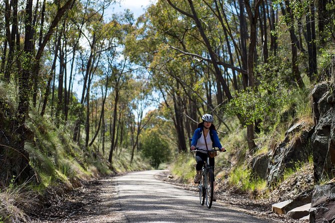 Self-Guided Gourmet Culinary Cycling Day Tour From Beechworth - Beechworth to Milawa: the downhill design that makes this feel easy