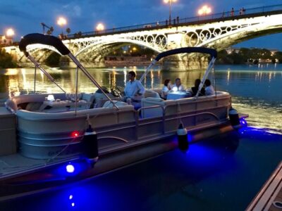 Seville: Exclusive River Boat Tour with Tapas - One Hour on the Guadalquivir: La Cartuja to Triana Bridge and Back