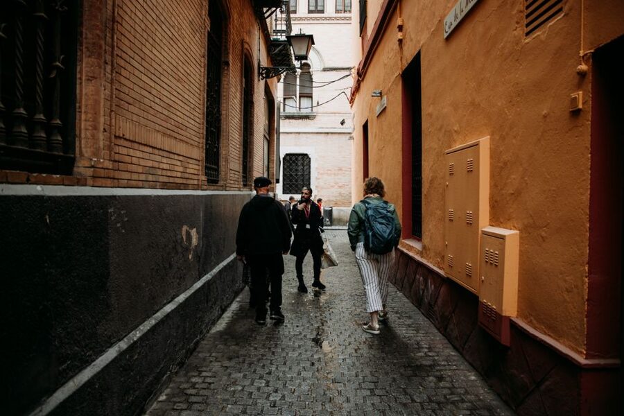 Seville: Tapas, Taverns, and History Walking Tour - Walking Tips: Shoes, Sun, and How to Pace Yourself