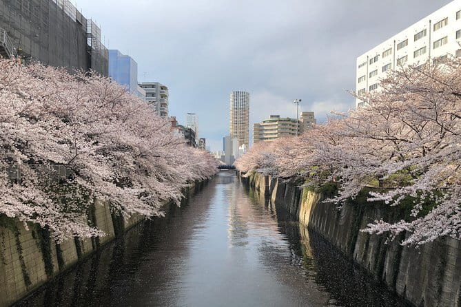 Shinjuku: Food Tour – 15 Dishes & 3 Drinks at 4 Eateries - Drinking on the Tour: Beer and Sake Without the Guesswork