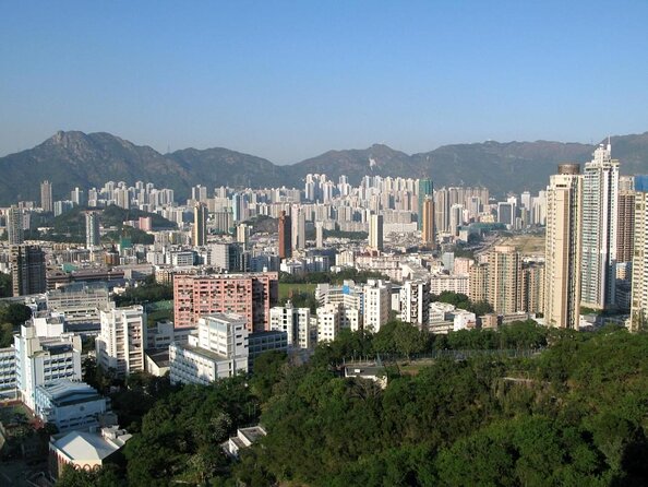 Small Group Kowloon Michelin Rated Street Food and Culture Tour - Key Points You’ll Care About