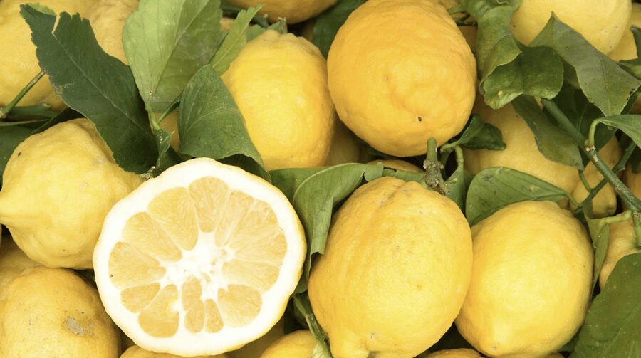 Sorrento: Walking Tour in Lemon Garden w/ Food Tasting - Key Things That Make This Farm Tour Worth Your Time