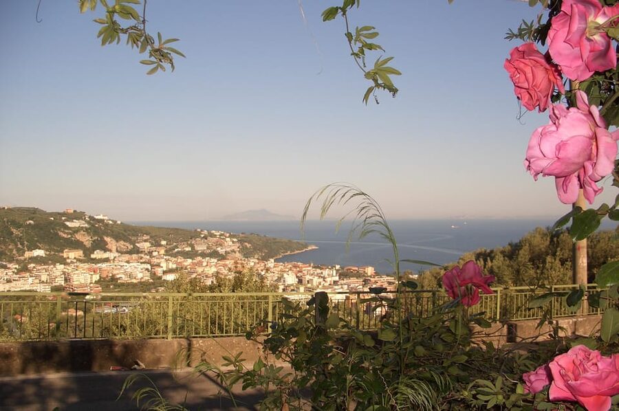 Sorrento: Walking Tour in Lemon Garden w/ Food Tasting - The View From the Farm: The Payoff You Can’t Fake