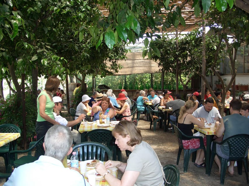 Sorrento: Walking Tour in Lemon Garden w/ Food Tasting - Price and Value: Does $81 Feel Fair Here?