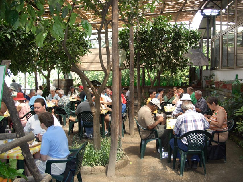 Sorrento: Walking Tour in Lemon Garden w/ Food Tasting - Who Should Book This Tour (and Who Might Want Something Else)
