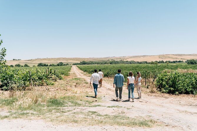 Spanish Villages & Winery Visit with Wine Tasting and Tapas Lunch - Who should book this tour