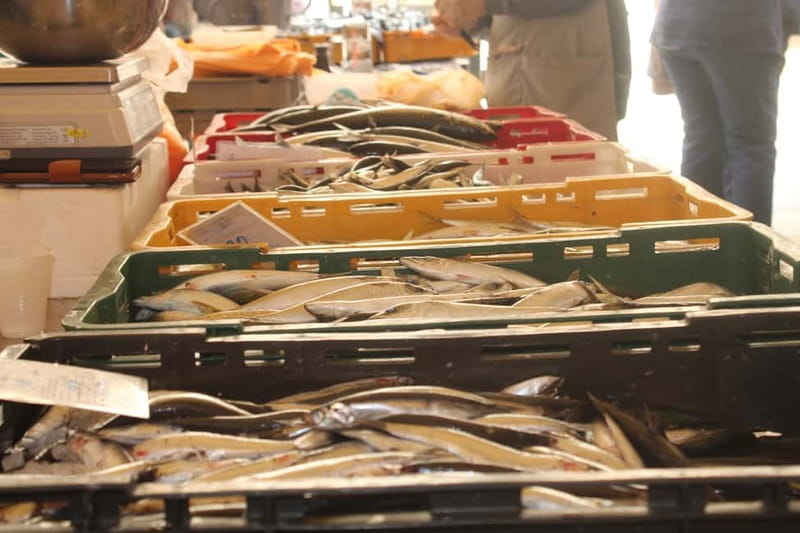 Split: Small Group Food Tour with Private Option - Who This Tour Suits Best (And Who Might Skip It)