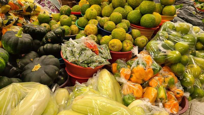 Street Food Walking Tour in Merida - Hidalgo Park to the market: the best way to start a food day in Mérida