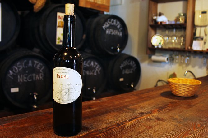 Sun and Wine Route - Small group, wine tasting and tapas included - Key things you’ll notice on the Sun and Wine Route