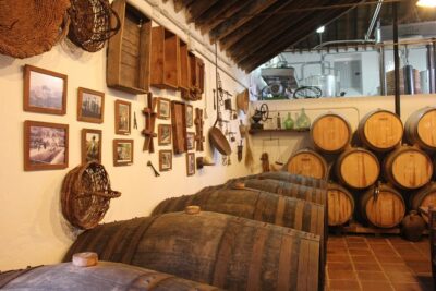 Sun and Wine Route - Small group, wine tasting and tapas included - 9:30 a.m. pickup and the mountain drive in a Mercedes Vito
