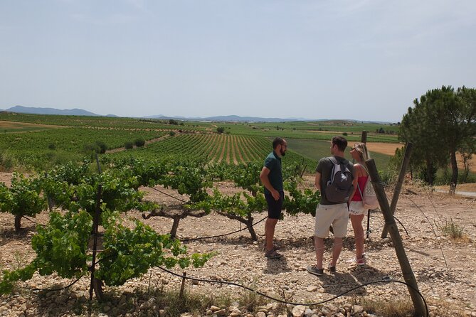 Tapas in the vineyards - Practical tips so the day goes smoothly