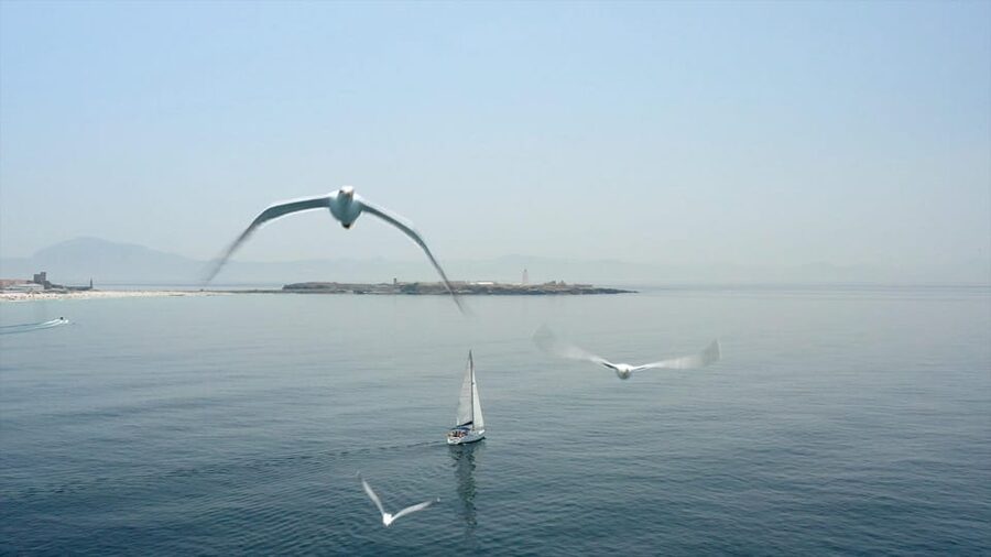 Tarifa: Sailboat Tour, Snorkelling, Tapas & Drinks - Booking verdict: should you take this Tarifa sail and snorkel?