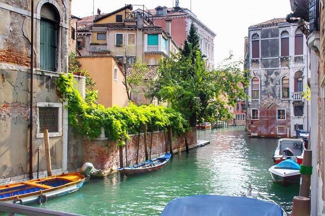 Tasty Street Food Tour of Venice City Center with Cicchetti & Local Specialties - The Final Stops and the Part Where You Leave Full