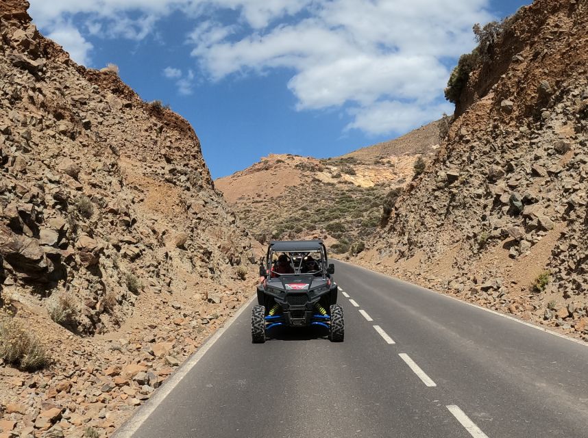 Tenerife: Volcano Teide Buggy Tour with Wine Tasting & Tapas - Vineyard wine tasting and tapas: the calm finish after the dust