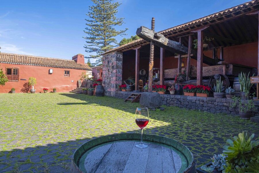 Tenerife: Wine Museum Ticket with Local Wines & Food Tasting - Service and pacing: friendly guidance, but watch the small details