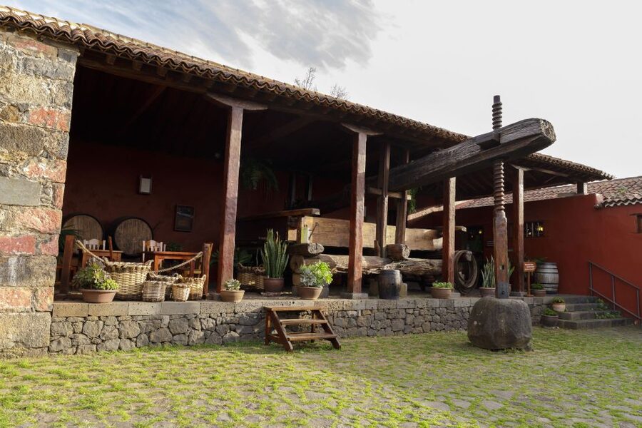 Tenerife: Wine Museum Ticket with Local Wines & Food Tasting - Getting there from Tenerife: transport is the only real friction