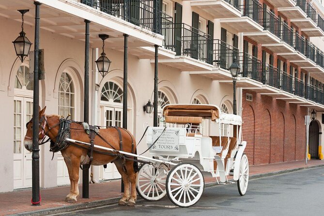The Premier New Orleans Food Tour - Key highlights you’ll care about
