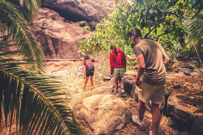 The Red Canyon Tour - Small Group Trip with Local Food Tasting ツ - Guides and group size: what the small-group format changes