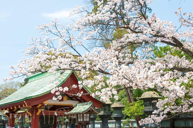 Tokyo: Food Tour in Ueno with 10+ Tastings of Japanese Classics - Why Ueno is a smart Tokyo food base