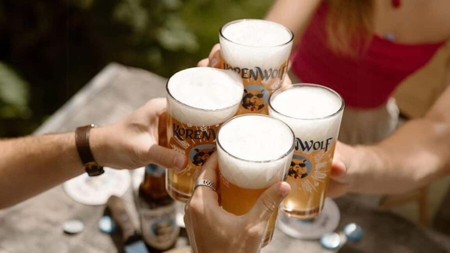 Top 10 Tastings of Amsterdam: Guided Walking Food Tour - Canal-side walking and Jordaan district vibes: why the route matters