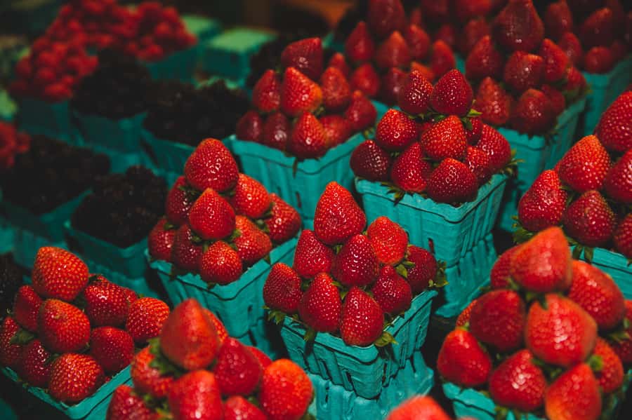 Toronto: St Lawrence Market Food Tour with 6 Tastings - The grand finale: a Canadian butter tart