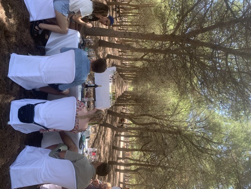 Torrevieja: Local Wine and Food Tasting Tour in La Mata Park - La Mata Nature Park in Torrevieja: where the tasting starts