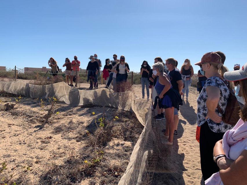Torrevieja: Local Wine and Food Tasting Tour in La Mata Park - Lagoon viewpoints and flamingos at La Mata