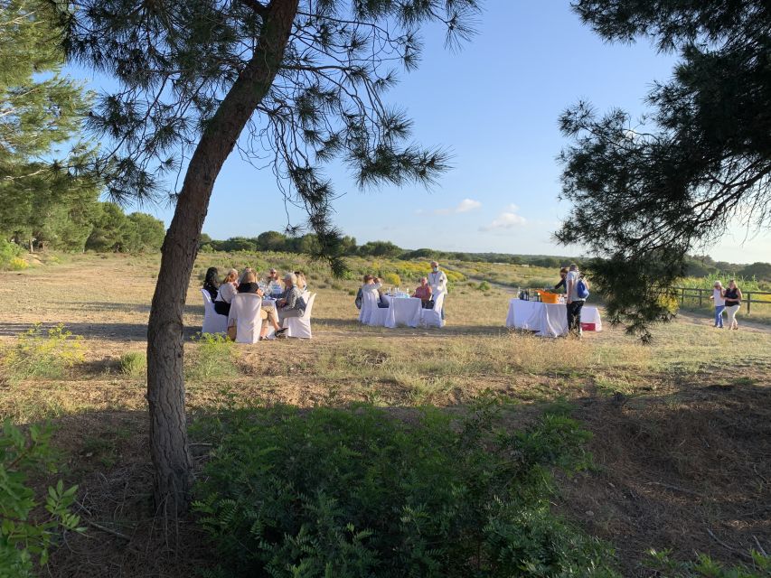 Torrevieja: Local Wine and Food Tasting Tour in La Mata Park - The DO Alicante wine tasting: what you’re actually drinking