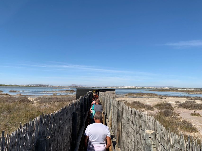 Torrevieja: Local Wine and Food Tasting Tour in La Mata Park - Pace, comfort, and mobility: what to plan for in real life