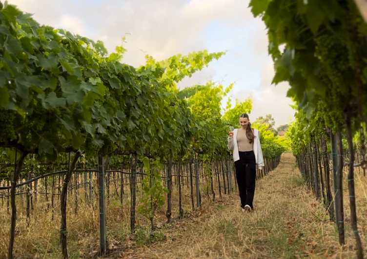 Tropea: Wine and Food Tasting - Key Points to Know Before You Go
