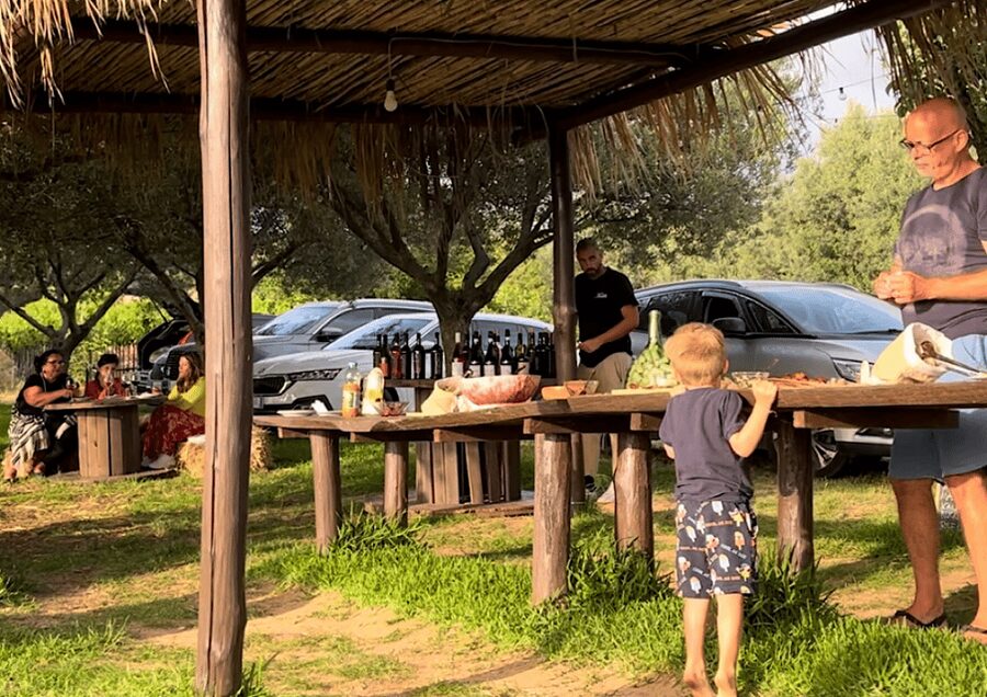Tropea: Wine and Food Tasting - Apericena in a Tropea Vineyard: The Real Hook