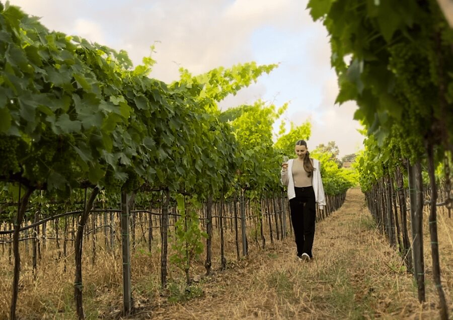 Tropea: Wine and Food Tasting - The Calabrian Buffet: Where the Value Really Shows