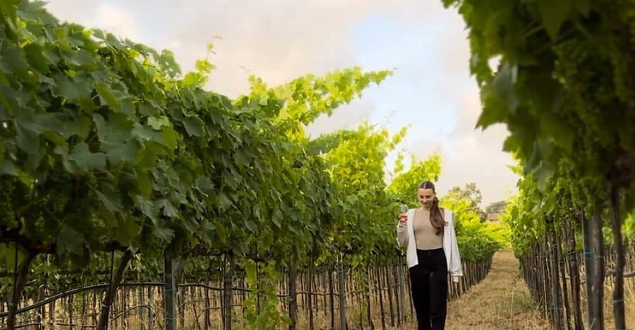 Tropea: Wine and Food Tasting - Logistics in Tropea: How to Avoid the Common Friction