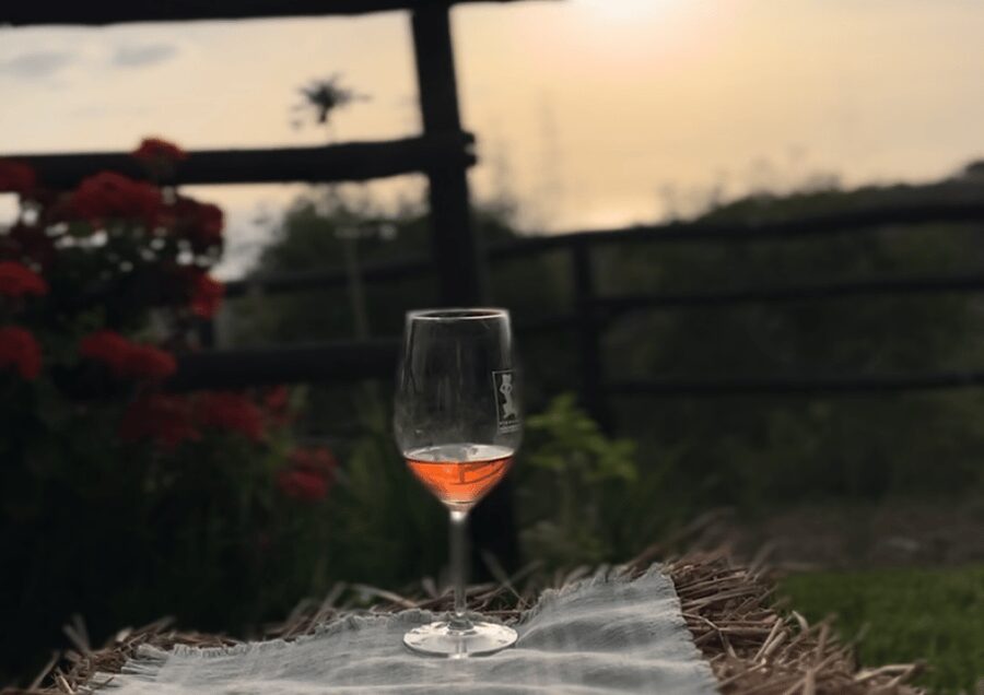 Tropea: Wine and Food Tasting - Who This Tour Suits Best (and Who Should Skip It)
