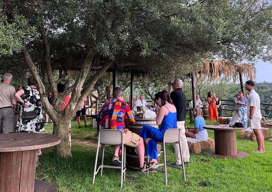 Tropea: Wine and Food Tasting - The Organic Wine Lesson (and Why It’s Worth Your Time)