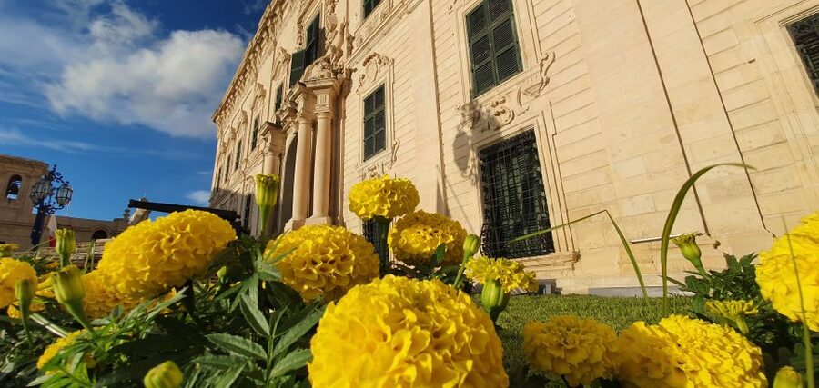 Valletta: Food Walking Tour with Tastings - Republic Street: the guided stroll where the city shows its pattern
